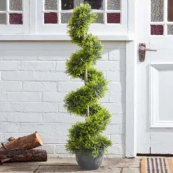 SG Cypress Topiary Twirl