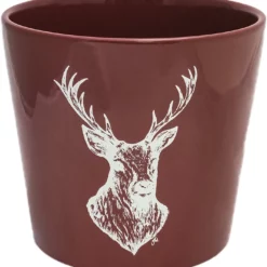 Ivyline Woodland Stag - 18cm