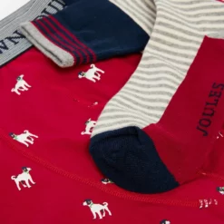 Joules Put A Sock In It Sock & Boxer Gift Set