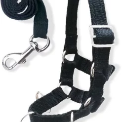 Crafty Ponies Lunge Set