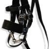 Crafty Ponies Bridle