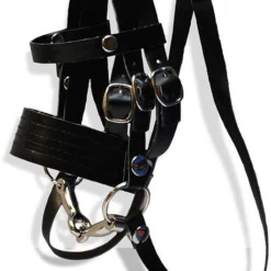 Crafty Ponies Bridle