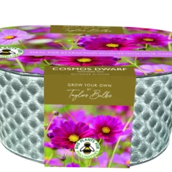 Metal Trough Planter