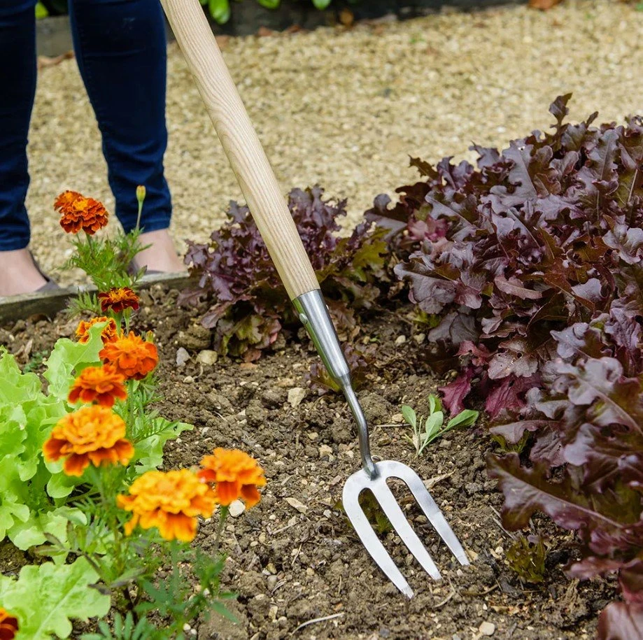 Kent & Stowe Stainless Steel Long-handled Fork 1 Kent & Stowe Stainless Steel Long-handled Fork