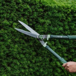 Westland Gardener’s Mate Hedge Shears