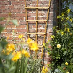 Tom Chambers H/duty Trellis - 180cm