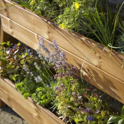 Tom Chambers Herb Garden Planter