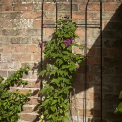 Tom Chambers Flora Trellis - Small