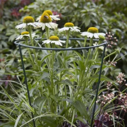 Tom Chambers Conical - Large