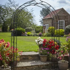 Tom Chambers Boutique Arch