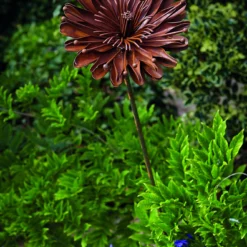 Tom Chambers Garden Stake Rustic Aster