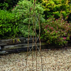 Tom Chambers Obelisk Bare Nostel - Small