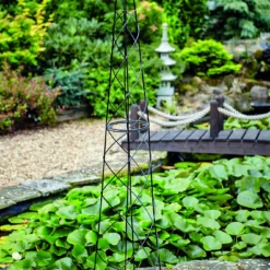 Tom Chambers Obelisk Nostel - X Large