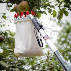 Darlac Fruit Picking Basket W/Telescopic Pole