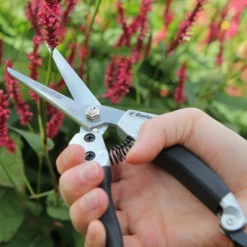 Darlac Compact Shear